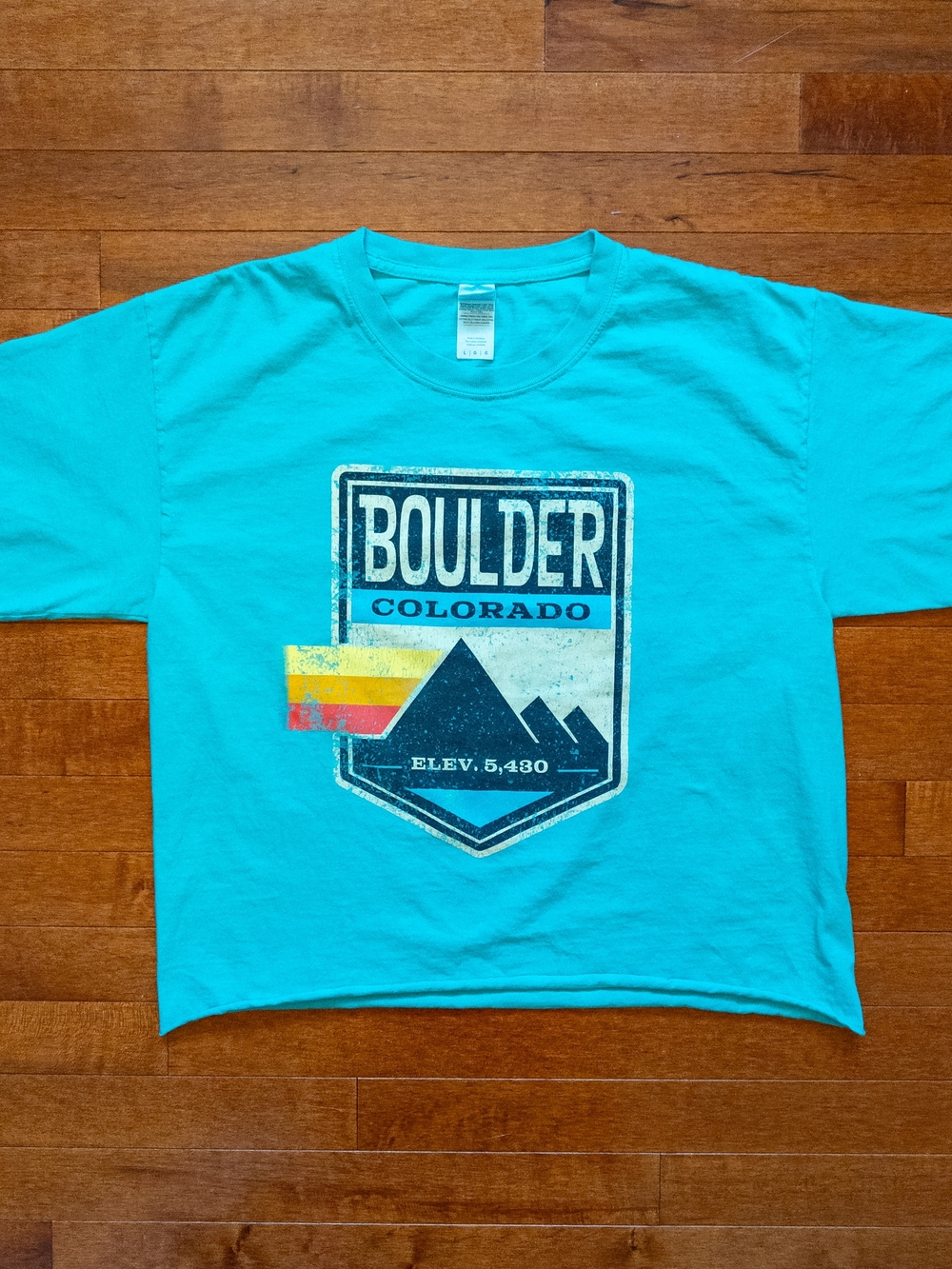 Cropped Boulder Colorado Retro Mountain Tee Turquoise/Teal Graphic Shirt Size L